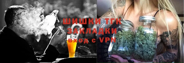 шишки Инта