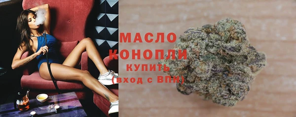 шишки Инта