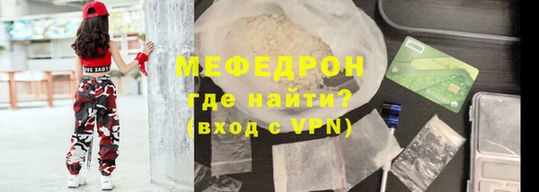шишки Инта