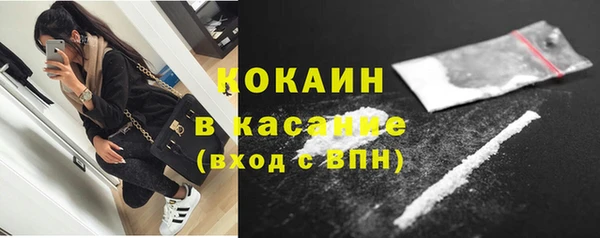 шишки Инта