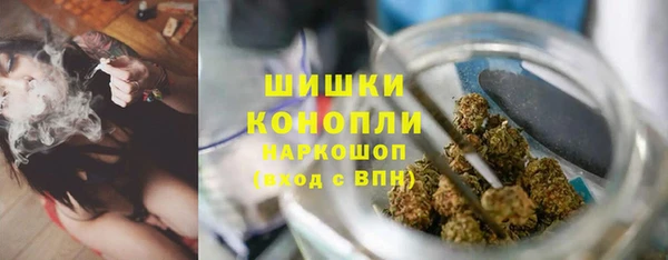 шишки Инта