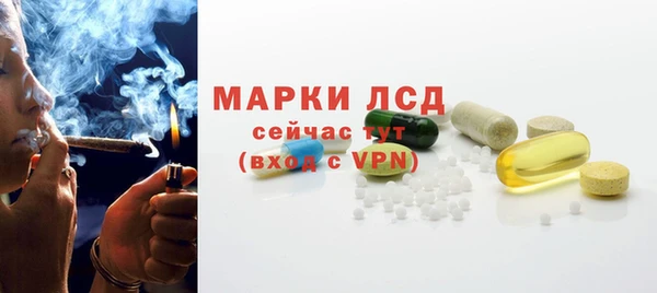 шишки Инта