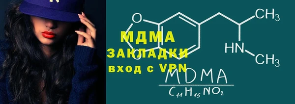 шишки Инта