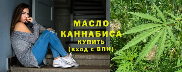 шишки Инта