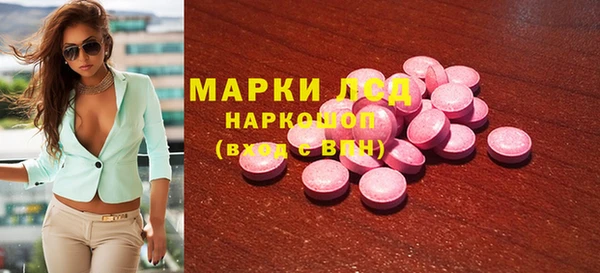 шишки Инта