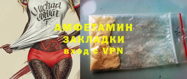 шишки Инта