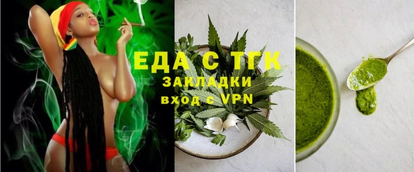 шишки Инта