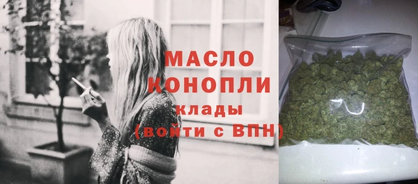 шишки Инта