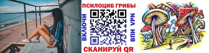 Псилоцибиновые грибы мицелий  Купить где  Миллерово 